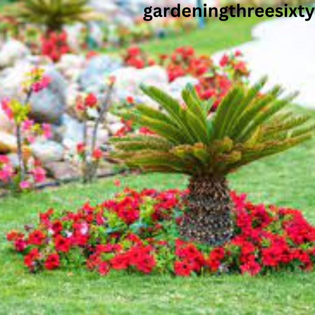Hanging Baskets- Beauty and Benefits