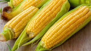 Can Diabetics Eat Corn?