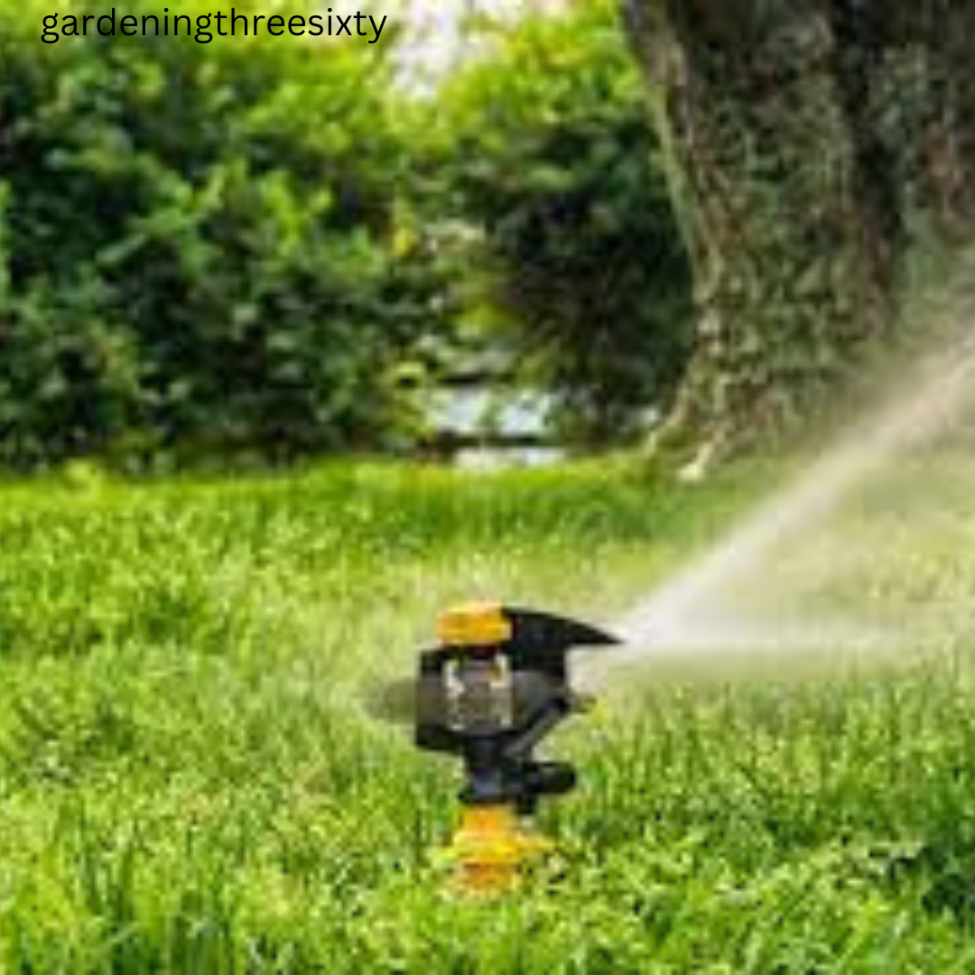 Spraying Fruit Trees